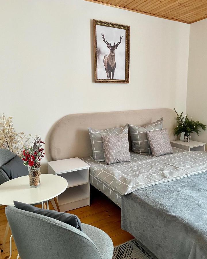 Hotel Ніч Над Карпатами à Slavsko Extérieur photo