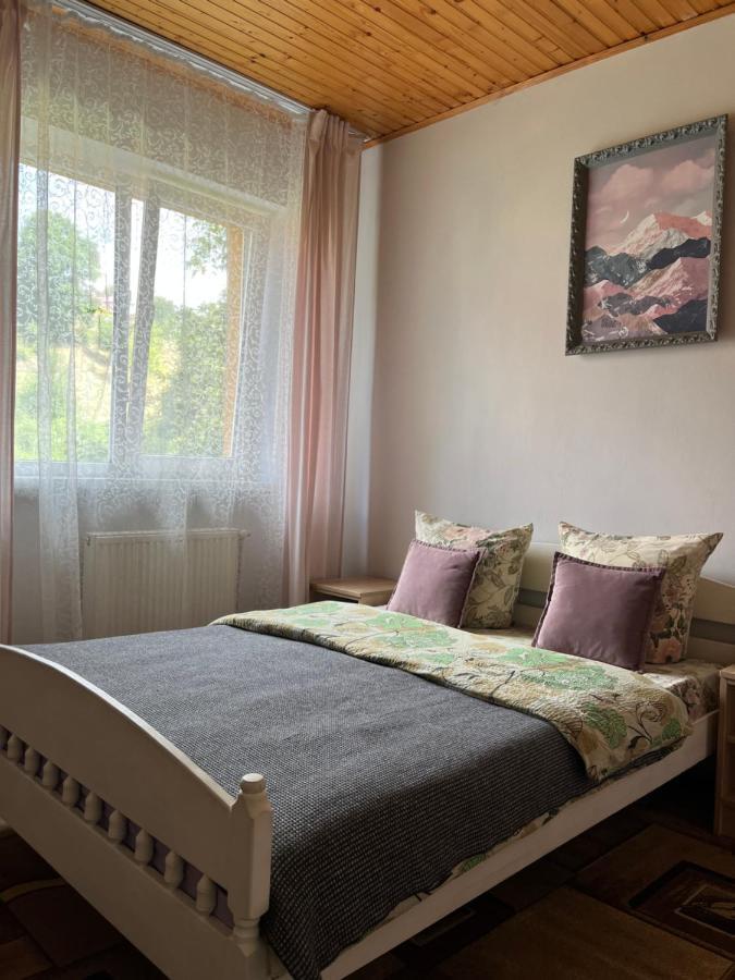 Hotel Ніч Над Карпатами à Slavsko Extérieur photo